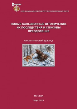 Новые санкционные ограничения, их последствия и способы преодоления