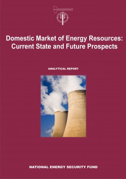 Domestic Market of Energy Resources: Current State and Future Prospects
